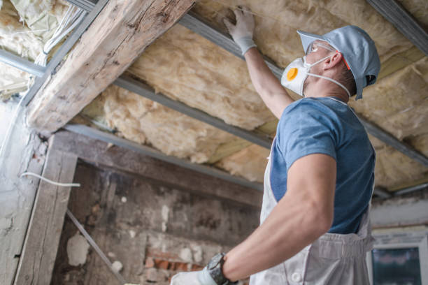Best Eco-Friendly Insulation in Lafayette, CA